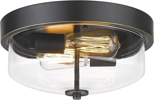 Main image of Emliviar Flush Mount Ceiling Light Fixture, Clear Glass Shade, TE217F ROB