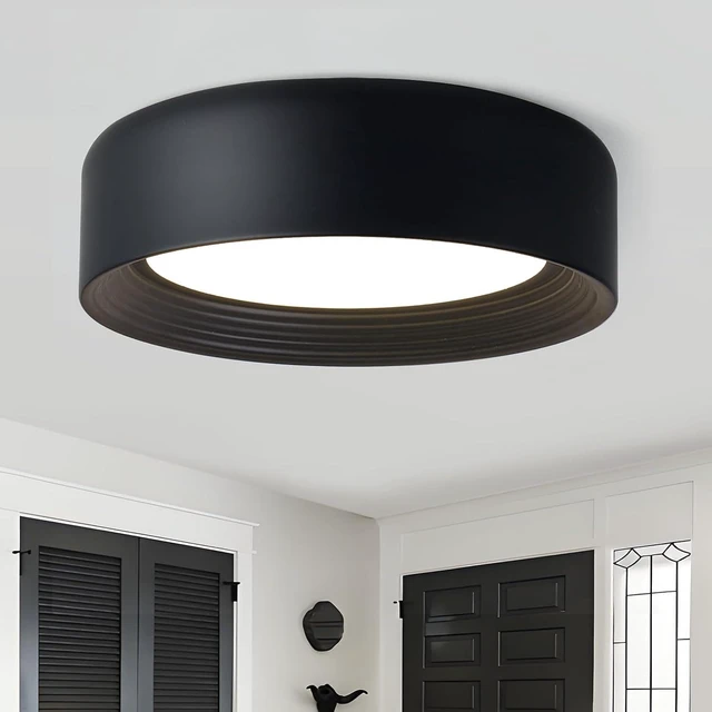 Main image of 11.8 inch Modern Matte Black Flush Mount Ceiling Light Fixture