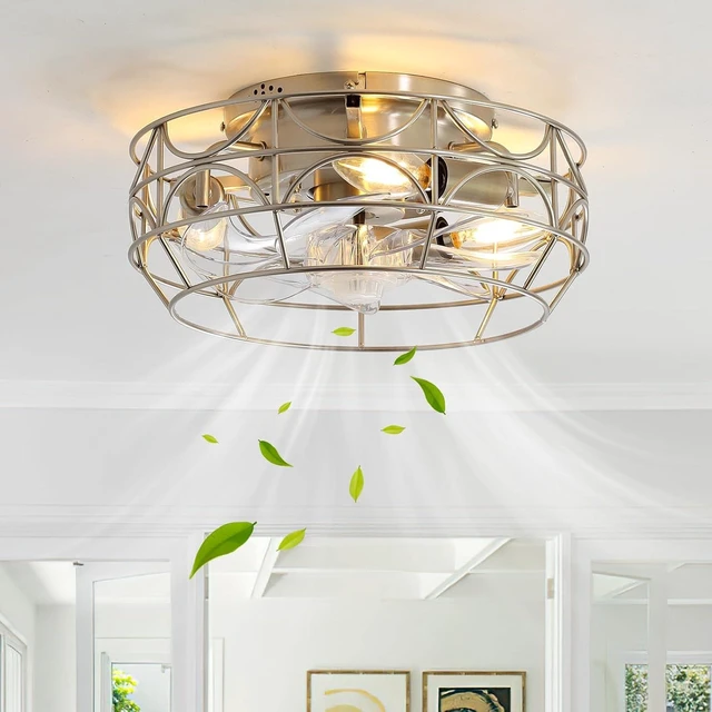 Main image of Nickel Caged Ceiling Fans with Lights and Remote,6 Speeds,12 inch Industrial Flush Mount Ceiling Fan with Light, Modern Bladeless Fan Lights Ceiling Fixtures for Kitchen, Bedroom,Indoor