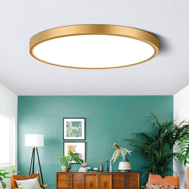 Main image of 9 Inch Gold LED Flush Mount Ceiling Light, 5000K Daylight White Low Profile LED Ceiling Light, 18W 1800LM, Round Slim Flat Ceiling Lights Fixture for Closets Bedroom Hallway Stairwells Porch