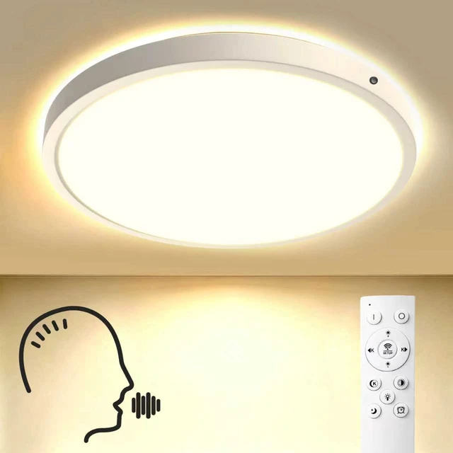 Main image of Voice Control Ceiling Light 12inch Flush Mount Smart Ceiling Light,3CCT,25W