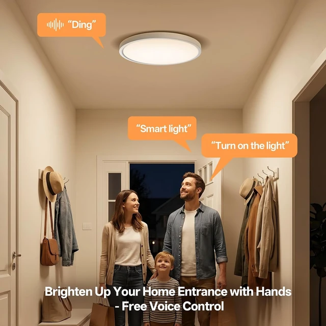 Alt view image 7 of 7 - Voice Control Ceiling Light 12inch Flush Mount Smart Ceiling Light,3CCT,25W