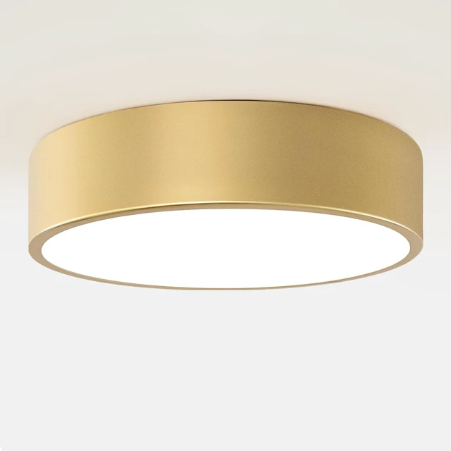 Main image of 11.8 Inch Gold Flush Mount Ceiling Light,Elegant 2-Light Fixture