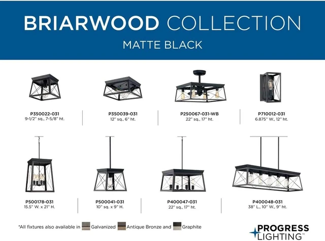 Alt view image 6 of 7 - Progress Lighting Briarwood 12" 2-Light Flush Mount Light, Textured Black