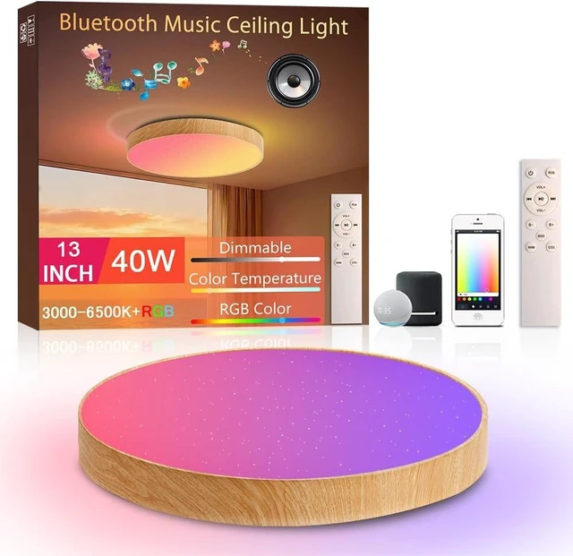 Main image of Led Flush Mount Ceiling Light with Bluetooth Speaker 13 Inch