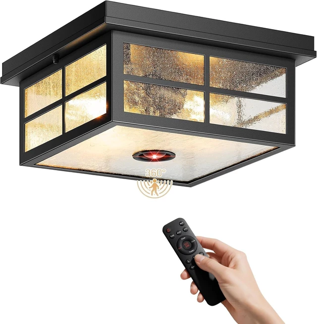 Main image of VIANIS Black Smart Motion Sensor Outdoor Ceiling Light with Remote Control