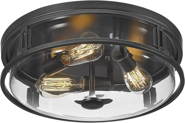 Main image of 16 Inch Flush Mount Ceiling Light with Clear Glass Shade, 3-Light Indoor Outdoor Farmhouse Lighting Flush Mount Lights for Kitchen Bedroom Porch Living Dining Room(Large)