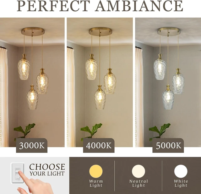 Alt view image 5 of 7 - 3-Light Cluster Pendant Lighting, Modern Gold Glass Chandelier