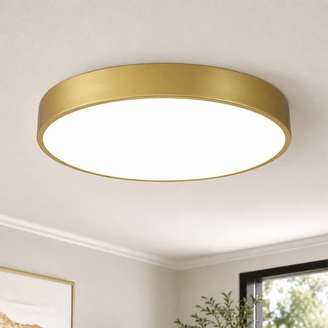 Main image of 20 Inch Gold LED Flush Mount Ceiling Light, 48W 5CCT Dimmable Ceiling Light Fixture for Kitchen Lighting Fixtures Ceiling, Bedroom & Living Room
