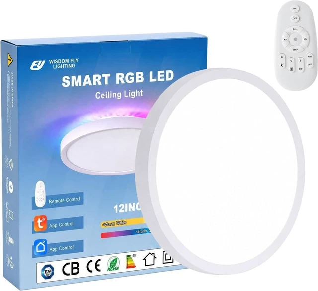 Main image of 12Inch Smart RGB Flush Mount Ceiling Light,24W,2400LMDimmable Light Fixture