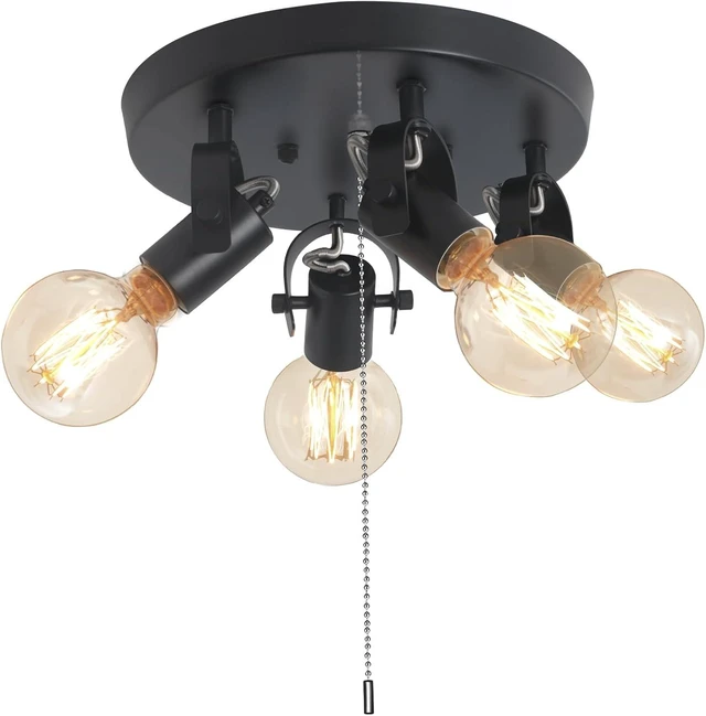 Main image of Modern 4-Light Flush Mount Ceiling Light with Pull Chain,Black
