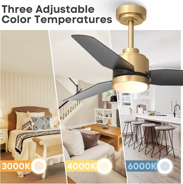 Alt view image 4 of 7 - 42 Inch Black Ceiling Fans with Lights and Remote/APP, Modern Ceiling Fan for Living Room Outdoor Ceiling Fan 6-Speed Adjustable Reversible DC Motor Timer Noiseless 3CCT Dimmable for Bedroom Office