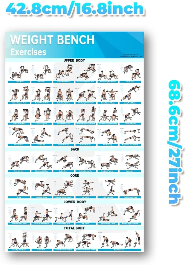 Alt view image 2 of 6 - Fitness Bench Poster Adjustable Benches Poster (1PC Paper Tube)