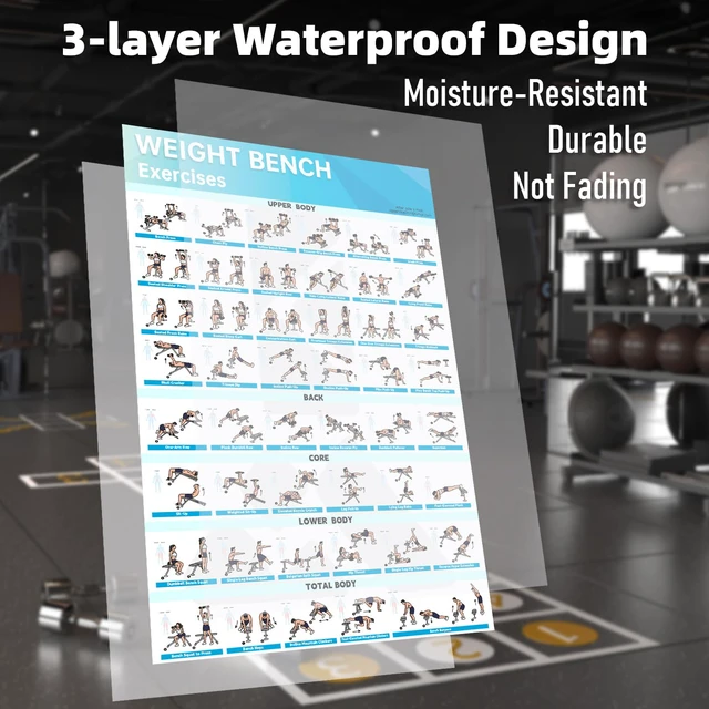 Alt view image 3 of 6 - Fitness Bench Poster Adjustable Benches Poster (1PC Paper Tube)