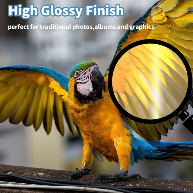 Alt view image 4 of 7 - Glossy Photo Paper 5×7 in, 105 Sheets Inkjet Photo Printer Paper | Instant Dry, 180gsm/48lb, Blank Back, Reflective Finish, Advanced Cast Coating, DIY Chip Bag/Flyer/Card/Calendars/Brochures