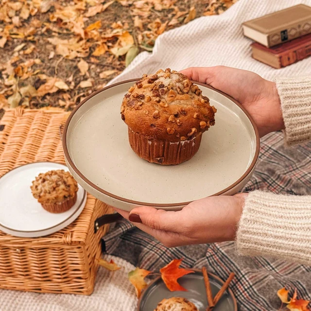 Alt view image 5 of 7 - Ceramic Flat Plates Set of 6-8 in - The Dessert, Salad, Appetizer, Small Lunch, etc Plate. Microwave, Oven, and Dishwasher Safe, Scratch Resistant. Kitchen Porcelain Dish - Neutrals