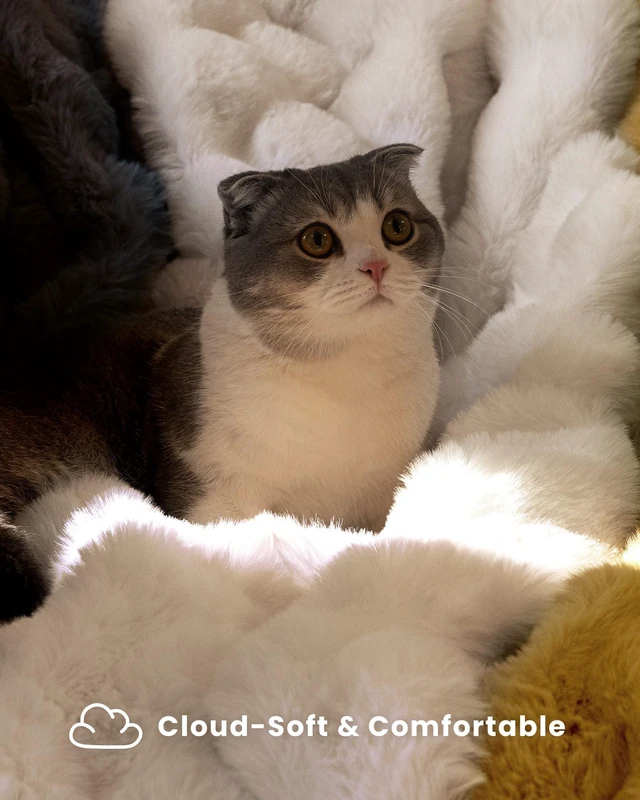 Alt view image 3 of 7 - Ultra Soft Cozy Faux Fur Throw Blanket, Fuzzy Plush Thick Bubble Blanket, Luxury Fluffy Blanket for Couch, Sofa, Bedroom, and Living Room, 50x60 Inches, Cream White