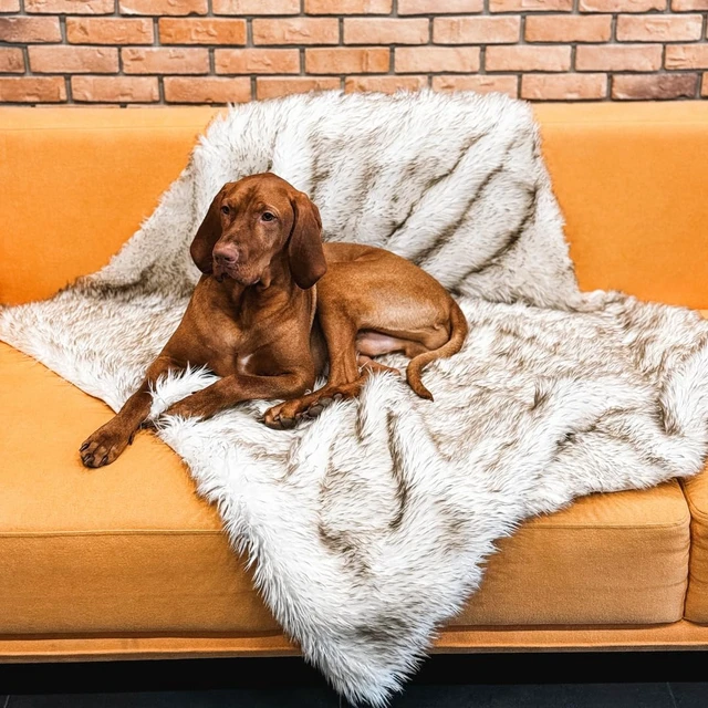 Alt view image 6 of 7 - Faux Fur Dog Blanket, Waterproof Couch Cover, White w/ Brown Tips 60"x50"
Plush Sheepskin Style Pet Throw for Sofa, Bed, and Car, Washable Furniture Cover that Protects From Fur and Spills