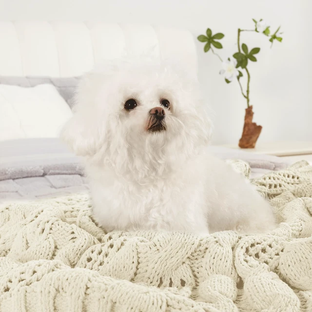 Alt view image 7 of 7 - Cable Knit Chenille Throw Blanket, Cream White 60×80
Classic Cable Knit, Dual-Sided Softness, Modern Farmhouse Style, Breathable Comfort, Cozy Throw for Couch, Sofa & Chair