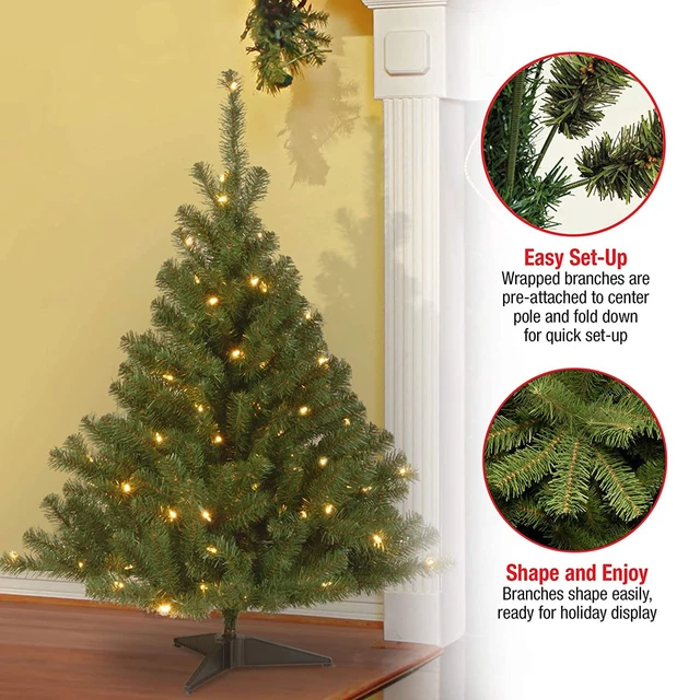 Alt view image 4 of 7 - 4ft Pre-Lit Kincaid Spruce Mini Christmas Tree
