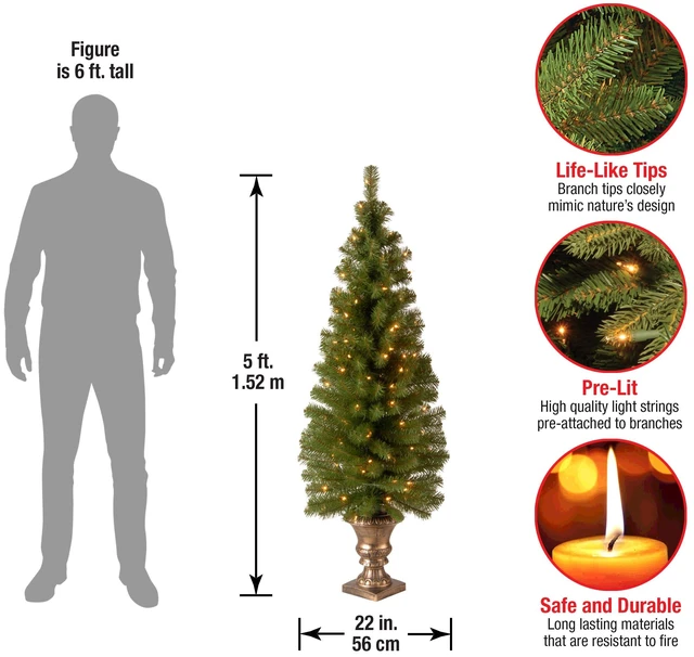 Alt view image 2 of 3 - 5ft Pre-Lit Montclair Spruce Christmas Entrance Tree