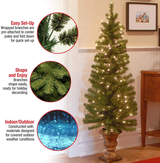 Alt view image 3 of 3 - 5ft Pre-Lit Montclair Spruce Christmas Entrance Tree