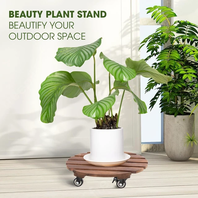 Alt view image 3 of 6 - 2-Pack 14 Inch Acacia Wood Plant Caddy with Wheels Heavy-Duty Plant Dolly with 264 Lbs Capacity, 360° Lockable Wheels for Large Plant Pots, Heavy Objects, Ideal for Indoor and Outdoor Use