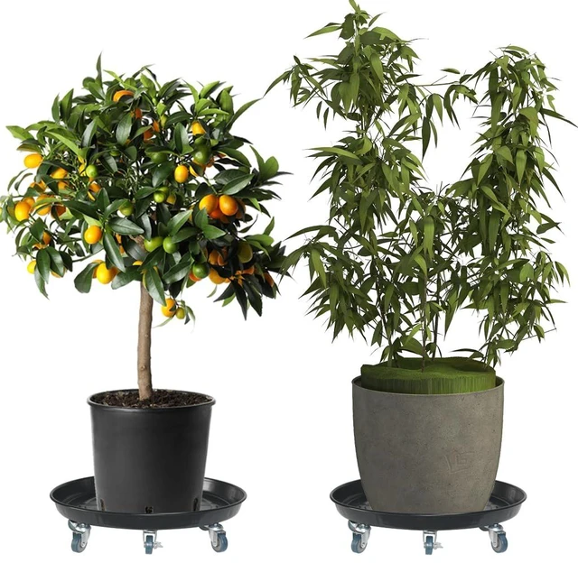 Alt view image 4 of 7 - 20" Heavy Duty Plant Dolly with Wheels, 380lbs Metal Rolling Plant Stand with Casters, Round Wheeled Planter Caddy Roller Base Carry Potted Tree Flower Pot for Indoor Outdoor Garden, 1 Pack, Black