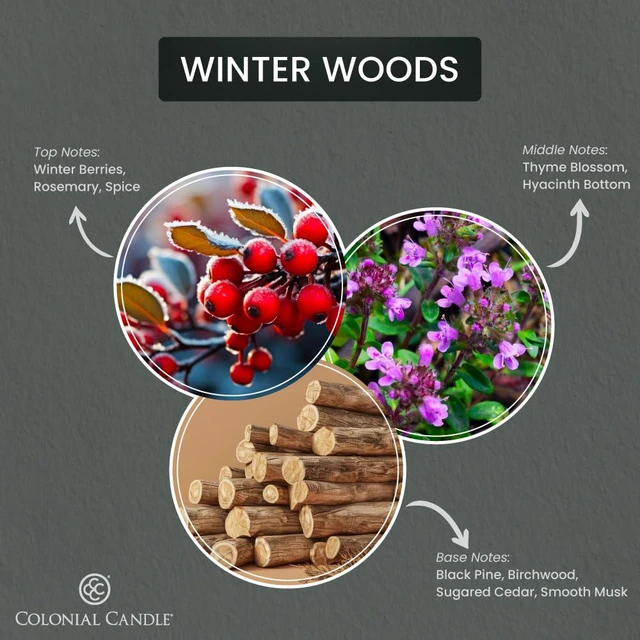 Alt view image 2 of 6 - Winter Woods Scented Jar Candle, Pop of Color Collection, 3 Wick, Green, 14.5 oz - Up to 60 Hours Burn