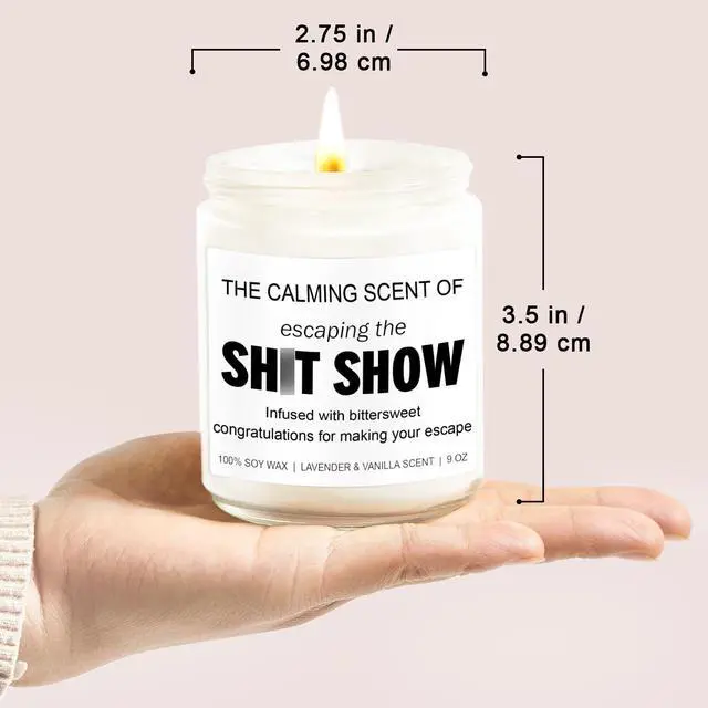 Alt view image 7 of 7 - Sarcastic Candles, Going Away, Goodbye, Farewell Gifts for Coworkers - Retirement, Coworker Leaving Gifts for Women, Men - Leaving Job, Moving Away Presents for Friends, Boss, Work Bestie