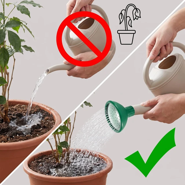 Alt view image 4 of 7 - Sprinkler Head Replacement Watering Can Spout Rose Nozzles, 2Pcs | 0.91in Watering Can Nozzles Rose Head Plastic Metal Rubber Gentle Flow Uniform Sprayer Soft Rainlike for Indoor Plants