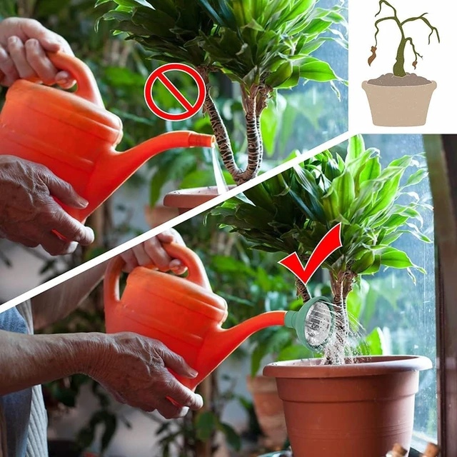 Alt view image 4 of 7 - 1PC Green Universal Garden Watering Can Rose Head Water Sprinkler Sprayer Fit All Watering Can Rose Spout Cover Nozzle Replacement Garden Watering Tool, Equipment