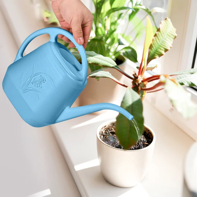Alt view image 7 of 7 - Plant Watering Can - for Indoor and Outdoor Home Garden Plants - with Long Spout - Skye Blue - 1/2 Gallon