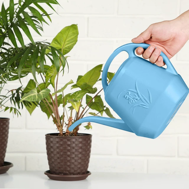Alt view image 6 of 7 - Plant Watering Can - for Indoor and Outdoor Home Garden Plants - with Long Spout - Skye Blue - 1/2 Gallon