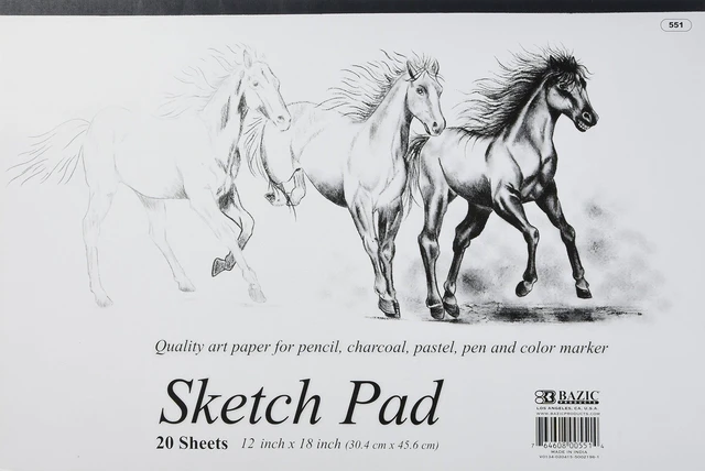 Main image of 20 Ct. 18" X 12" Premium Sketch Pad | 20-sheet sketch pad, Smooth drawing paper for sketching, Shading, For school and craft projects