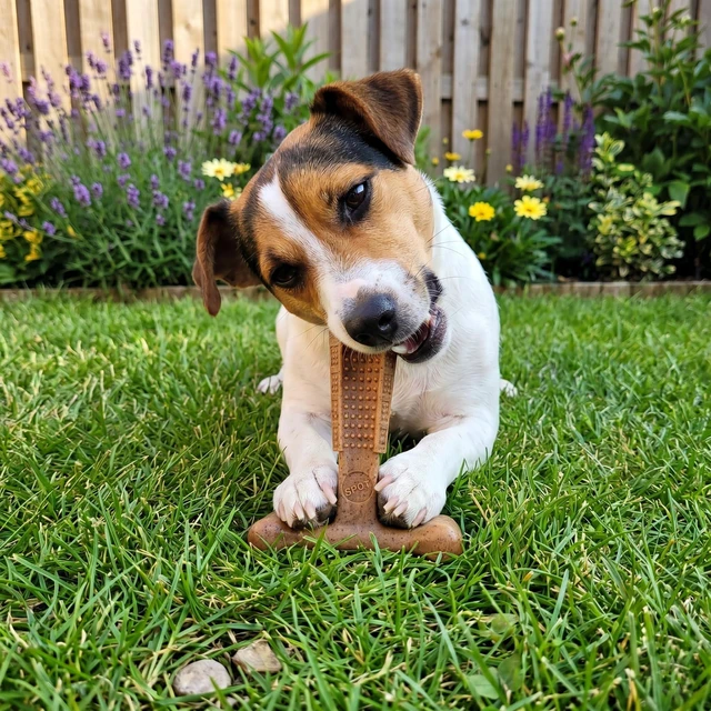 Alt view image 6 of 7 - Bam-Bones Plus T-Bone Dog Chew, Beef, 4in, 10-30 lb Heavy Chewers | Nylon & bamboo fiber; Moderate to heavy chewers; Dogs 10-30 lbs; Non-splintering; Textured dental nubs; Beef flavor