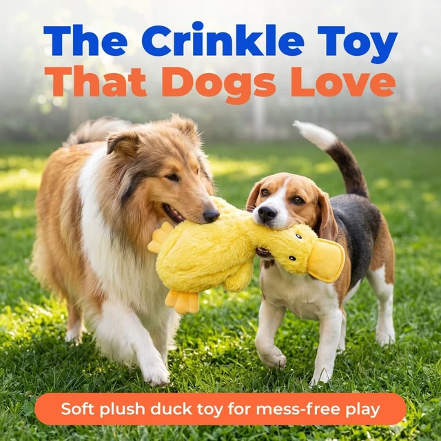 Alt view image 2 of 7 - Interactive Squeaky Dog Toy - Crinkle Duck, Yellow | Stuffing Free Body, Soft, Squeaks & Crinkles, No Mess, Perfect for Moderate Chewers, Toss and Fetch Play
