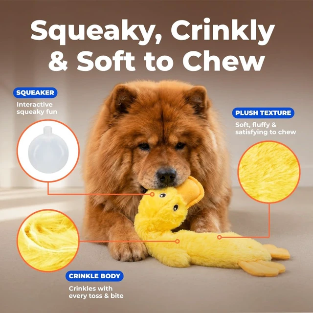 Alt view image 3 of 7 - Interactive Squeaky Dog Toy - Crinkle Duck, Yellow | Stuffing Free Body, Soft, Squeaks & Crinkles, No Mess, Perfect for Moderate Chewers, Toss and Fetch Play