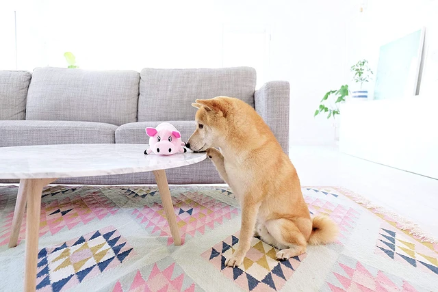 Alt view image 3 of 6 - Fattiez Squeaky Plush Dog Toy, Pig, Small, 6.8" | Engaging Squeak Sounds, Soft Plush & Round Shape, Easy Carry, Cuddles & Gentle Indoor Play, Light Chewers, Small Dogs