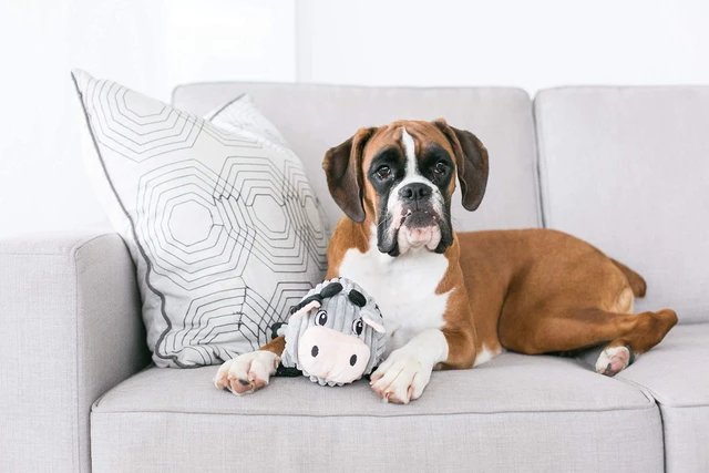 Alt view image 4 of 6 - Fattiez Squeaky Plush Dog Toy, Pig, Small, 6.8" | Engaging Squeak Sounds, Soft Plush & Round Shape, Easy Carry, Cuddles & Gentle Indoor Play, Light Chewers, Small Dogs