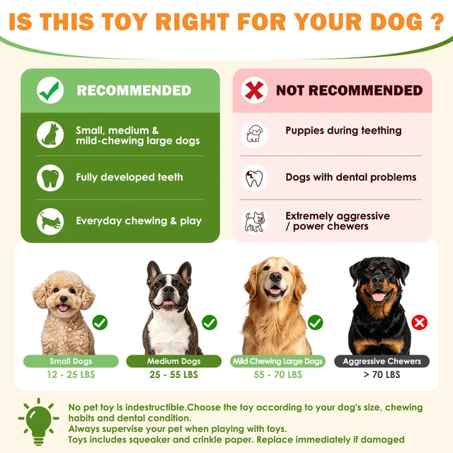 Alt view image 3 of 7 - Dog Squeaky Toys Stretchable Crocodile for Interactive Tug of War | 24-31in Plush Chew Toy with Squeaker & Crinkle Paper, Pineapple Cotton, Ideal for Puppy Small Medium Dogs Indoor Outdoor Play
