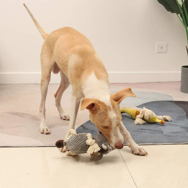 Alt view image 4 of 5 - Dog Toy, Large Dog Squeaky Toys, Stuffed Animal Dog Plush Toy for Puppy, Small, Middle, Large Dogs (Donkey(Grey))