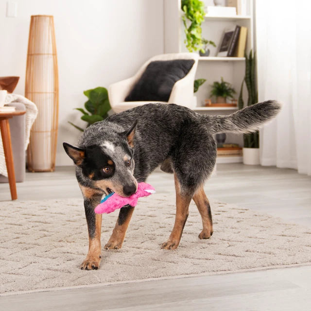Alt view image 7 of 7 - Just For Me Gators Squeaky Plush Dog Toy, Chew Guard Technology - Pink, Mini