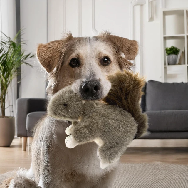Alt view image 3 of 6 - Squirrel Dog Toy w/ Squeaker | Plush Squirrels Dogs Toys | Stuffed Squeaky Squirrel Toy for Pets | Realistic Animal Dogs Toys | Squeaky Squirrels | Small/Medium Breed | Multicolor | 6"