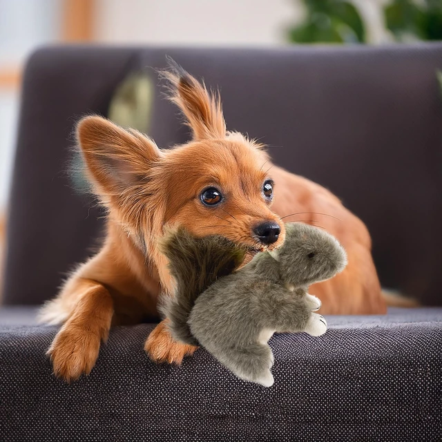 Alt view image 4 of 6 - Squirrel Dog Toy w/ Squeaker | Plush Squirrels Dogs Toys | Stuffed Squeaky Squirrel Toy for Pets | Realistic Animal Dogs Toys | Squeaky Squirrels | Small/Medium Breed | Multicolor | 6"