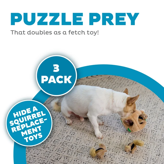 Alt view image 2 of 6 - Squeakin' Squirrels Plush Squeaky Dog Toys, 3-Pack, 7" | Standalone Play or Hide-A-Squirrel Replacement Squirrels, Soft for Cuddle & Carry, Light Chewers, Puppies & Small Dogs