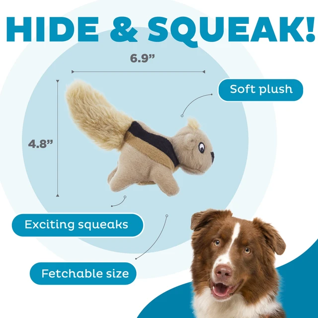 Alt view image 3 of 6 - Squeakin' Squirrels Plush Squeaky Dog Toys, 3-Pack, 7" | Standalone Play or Hide-A-Squirrel Replacement Squirrels, Soft for Cuddle & Carry, Light Chewers, Puppies & Small Dogs