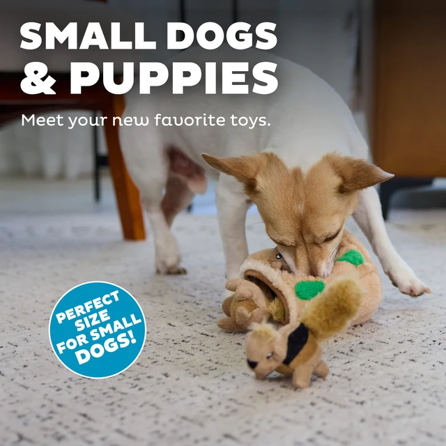 Alt view image 4 of 6 - Squeakin' Squirrels Plush Squeaky Dog Toys, 3-Pack, 7" | Standalone Play or Hide-A-Squirrel Replacement Squirrels, Soft for Cuddle & Carry, Light Chewers, Puppies & Small Dogs