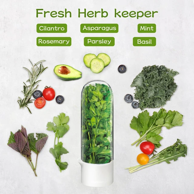 Alt view image 2 of 7 - Herb Keeper for Refrigerator, Herb Saver for Refrigerator, Cilantro Container, Vegetable Preservation Bottle for Cilantro, Mint, Parsley, Asparagus, Keeps Greens Fresh for 2-3 Weeks (2PCS)