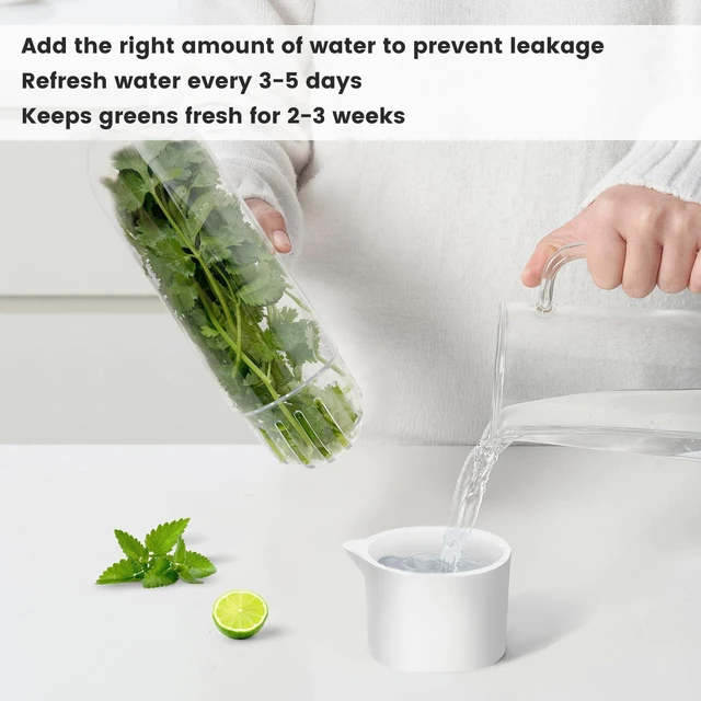 Alt view image 3 of 7 - Herb Keeper for Refrigerator, Herb Saver for Refrigerator, Cilantro Container, Vegetable Preservation Bottle for Cilantro, Mint, Parsley, Asparagus, Keeps Greens Fresh for 2-3 Weeks (2PCS)